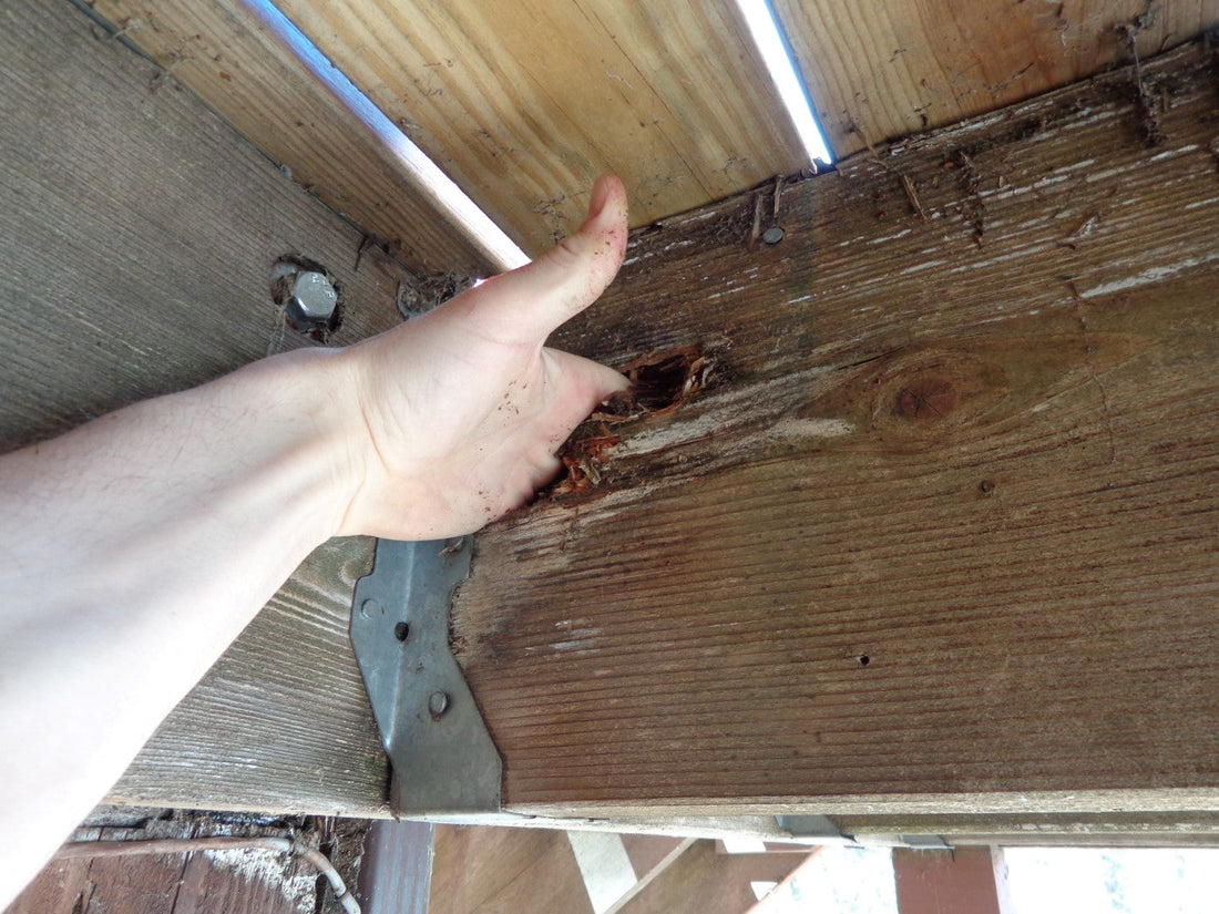 Why Your Deck Needs More Than Just Water Drainage